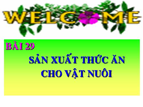 Bài 29. Sản xuất thức ăn cho vật nuôi