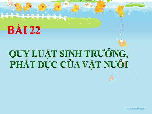 Bài 22. Quy luật sinh trưởng, phát dục của vật nuôi