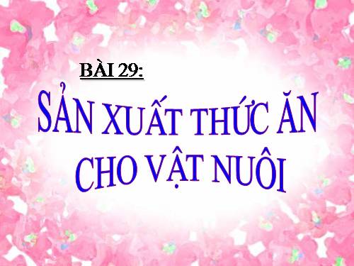 Bài 29. Sản xuất thức ăn cho vật nuôi