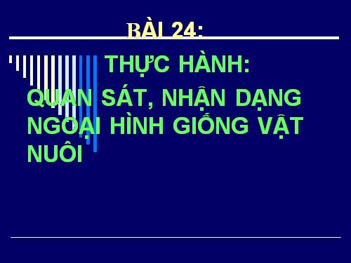 Bài 24. Thực hành: Quan sát, nhận dạng ngoại hình giống vật nuôi