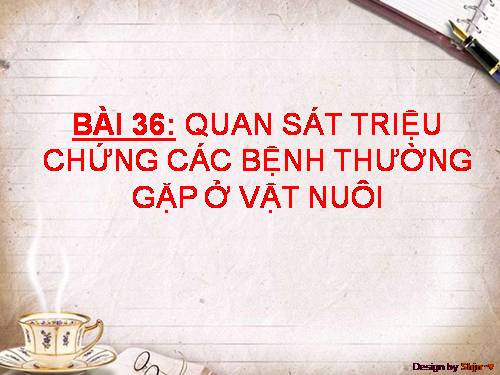 Bài 36. Thực hành: Quan sát triệu chứng, bệnh tích của gà bị mắc bệnh Niu cát xơn (Newcastle) và cá trắm bị bệnh xuất huyết do vi rút