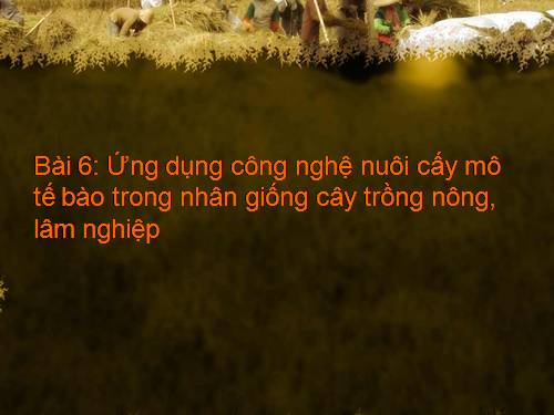 Bài 6. Ứng dụng công nghệ nuôi cấy mô tế bào trong nhân giống cây trồng nông, lâm nghiệp