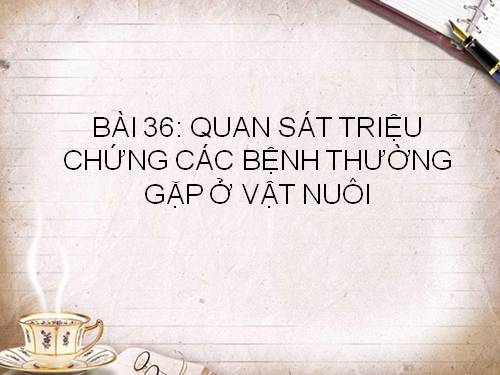 Bài 36. Thực hành: Quan sát triệu chứng, bệnh tích của gà bị mắc bệnh Niu cát xơn (Newcastle) và cá trắm bị bệnh xuất huyết do vi rút