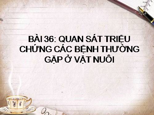 Bài 36. Thực hành: Quan sát triệu chứng, bệnh tích của gà bị mắc bệnh Niu cát xơn (Newcastle) và cá trắm bị bệnh xuất huyết do vi rút