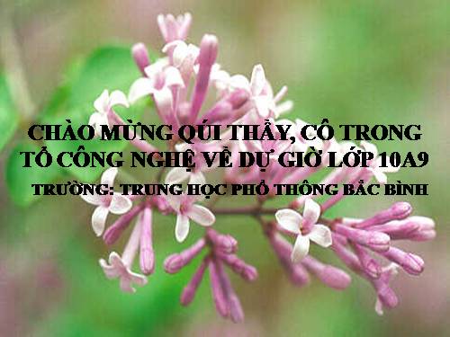 Bài 15. Điều kiện phát sinh, phát triển của sâu, bệnh hại cây trồng