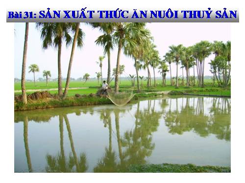 Bài 31. Sản xuất thức ăn nuôi thủy sản