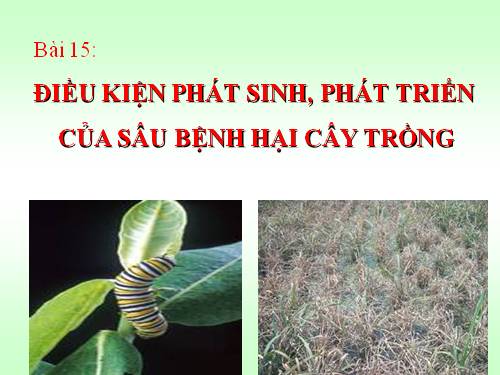 Bài 15. Điều kiện phát sinh, phát triển của sâu, bệnh hại cây trồng