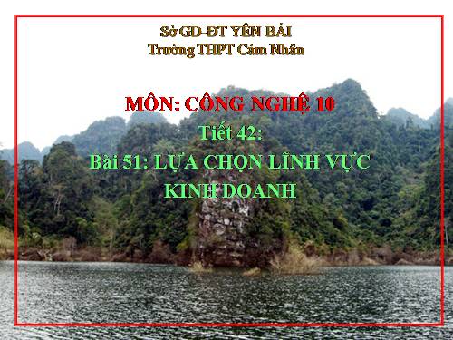 Bài 51. Lựa chọn lĩnh vực kinh doanh