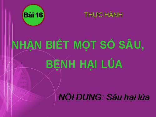 Bài 16. Thực hành: Nhận biết một số loại sâu, bệnh hại lúa