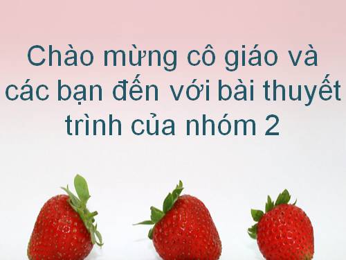 Bài 24. Thực hành: Quan sát, nhận dạng ngoại hình giống vật nuôi