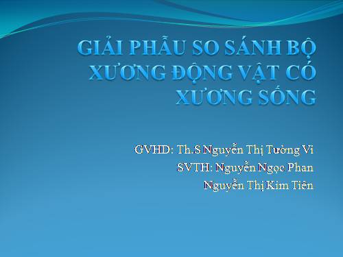 giải phẫu so sánh bộ xương động vật