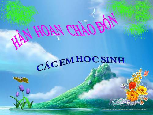 Bài 29. Sản xuất thức ăn cho vật nuôi