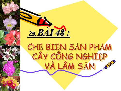 Bài 48. Chế biến sản phẩm cây công nghiệp và lâm sản