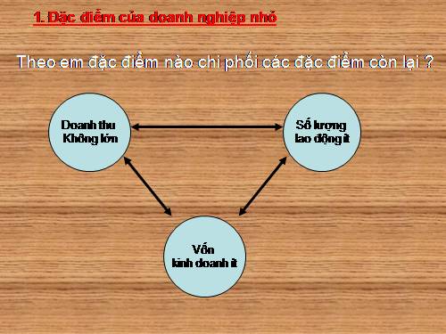 Bài 50. Doanh nghiệp và hoạt động kinh doanh của doanh nghiệp