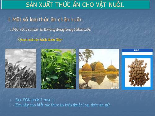 Bài 29. Sản xuất thức ăn cho vật nuôi