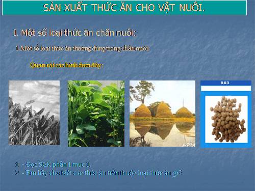 Bài 29. Sản xuất thức ăn cho vật nuôi