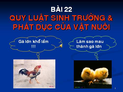 Bài 22. Quy luật sinh trưởng, phát dục của vật nuôi