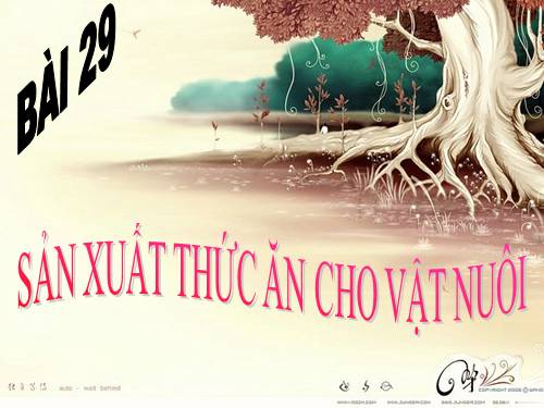 Bài 29. Sản xuất thức ăn cho vật nuôi