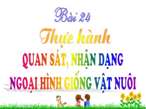 Bài 24. Thực hành: Quan sát, nhận dạng ngoại hình giống vật nuôi