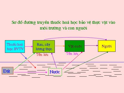 Bài 19. Ảnh hưởng của thuốc hóa học bảo vệ thực vật đến quần thể sinh vật và môi trường