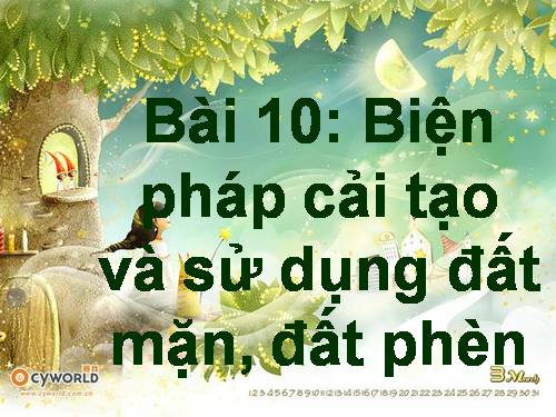 Bài 10. Biện pháp cải tạo và sử dụng đất mặn, đất phèn