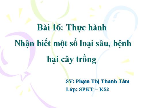 Bài 16. Thực hành: Nhận biết một số loại sâu, bệnh hại lúa