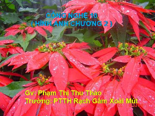 HINH ANH CHUONG 2