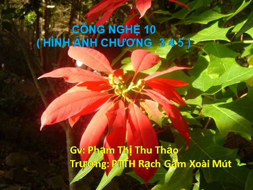 HINH ANH CHUONG 3 4 5