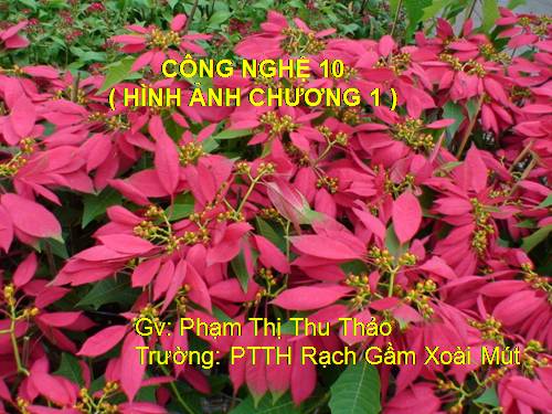 HINH ANH CHUONG 1