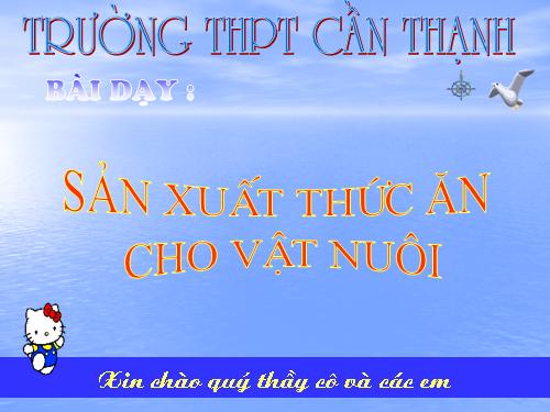 Bài 29. Sản xuất thức ăn cho vật nuôi