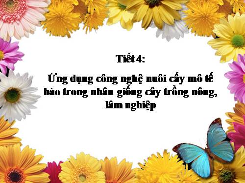 Bài 6. Ứng dụng công nghệ nuôi cấy mô tế bào trong nhân giống cây trồng nông, lâm nghiệp