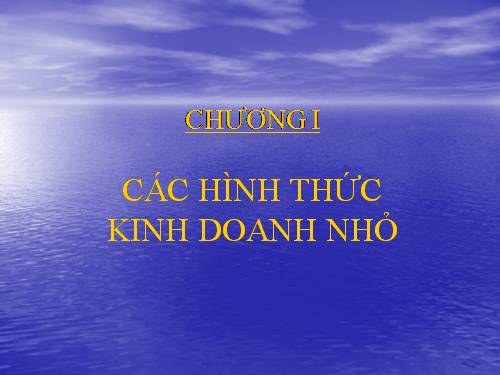 các hình thức Kinh doanh