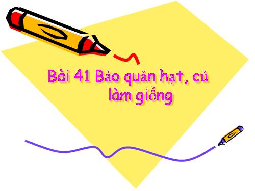 Bài 41. Bảo quản hạt, củ làm giống