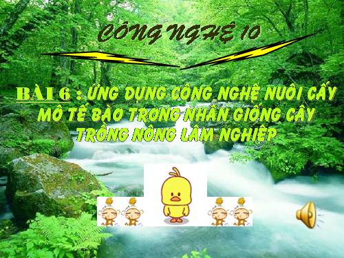 Bài 6. Ứng dụng công nghệ nuôi cấy mô tế bào trong nhân giống cây trồng nông, lâm nghiệp