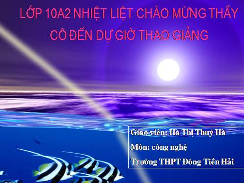 Bài 53. Xác định kế hoạch kinh doanh