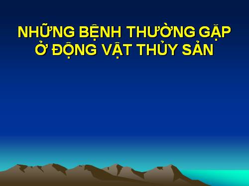 những bệnh thường gặp ở động vật