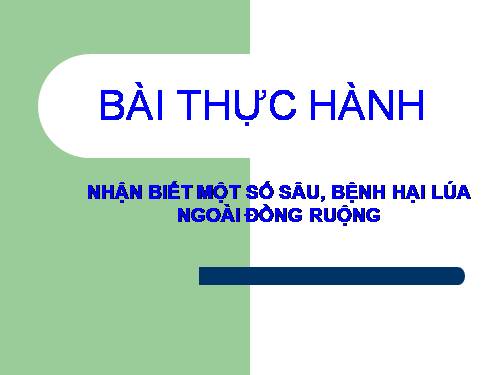 Bài 16. Thực hành: Nhận biết một số loại sâu, bệnh hại lúa