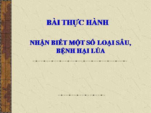 Bài 16. Thực hành: Nhận biết một số loại sâu, bệnh hại lúa