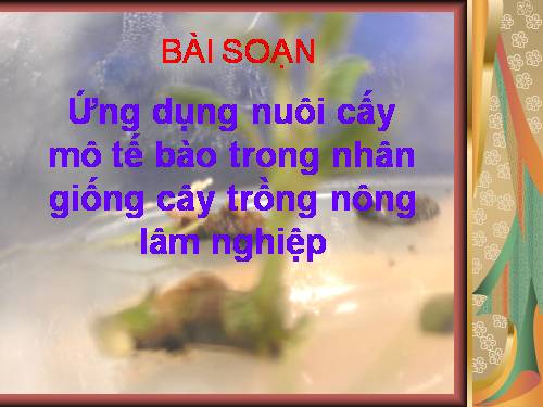 Bài 6. Ứng dụng công nghệ nuôi cấy mô tế bào trong nhân giống cây trồng nông, lâm nghiệp