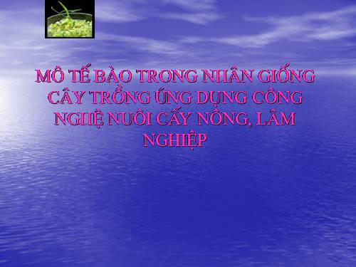 Bài 6. Ứng dụng công nghệ nuôi cấy mô tế bào trong nhân giống cây trồng nông, lâm nghiệp