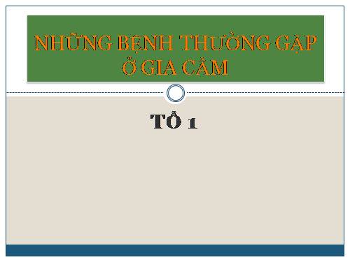 bệnh gia cầm_10a1_VoMinhDuc_BD