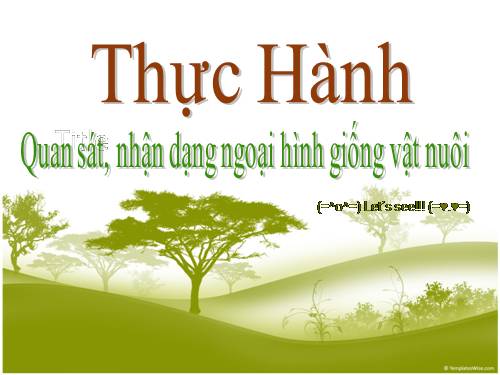 Bài 24. Thực hành: Quan sát, nhận dạng ngoại hình giống vật nuôi