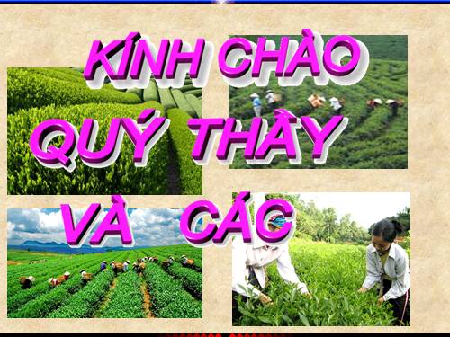 Bài 48. Chế biến sản phẩm cây công nghiệp và lâm sản