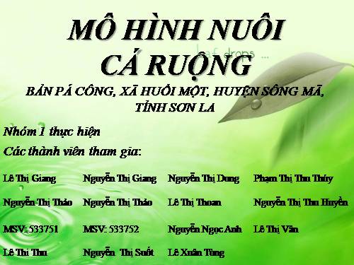 Mô hình nuôi cá ruộng