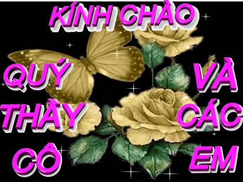 Bài 9. Biện pháp cải tạo và sử dụng đất xám bạc màu, đất xói mòn mạnh trơ sỏi đá