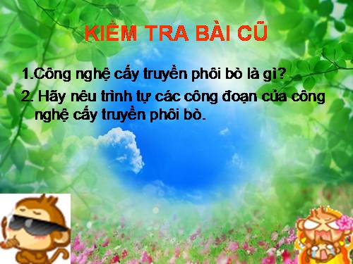 Bài 28. Nhu cầu dinh dưỡng của vật nuôi