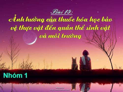 Bài 19. Ảnh hưởng của thuốc hóa học bảo vệ thực vật đến quần thể sinh vật và môi trường