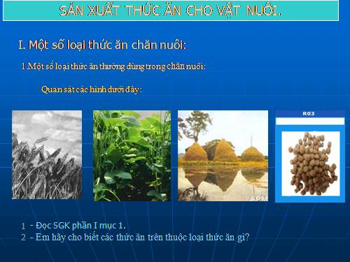 Bài 29. Sản xuất thức ăn cho vật nuôi