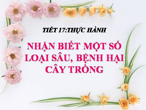 Bài 16. Thực hành: Nhận biết một số loại sâu, bệnh hại lúa