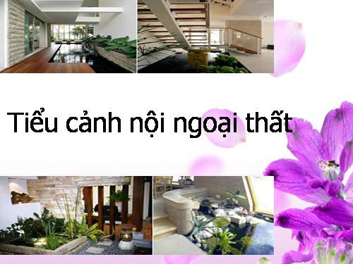 tiểu cảnh trong nội ,ngoại thất